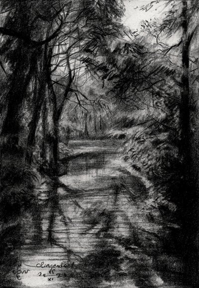Shaded Forest Stream by Corné Akkers