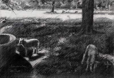Shaded Pasture Sheep Sketch by Corné Akkers