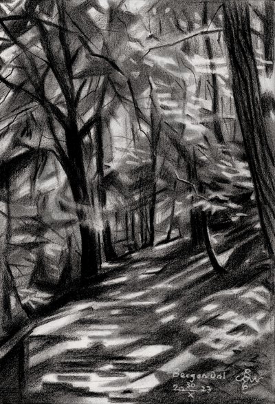 Sunlit Forest Path by Corné Akkers