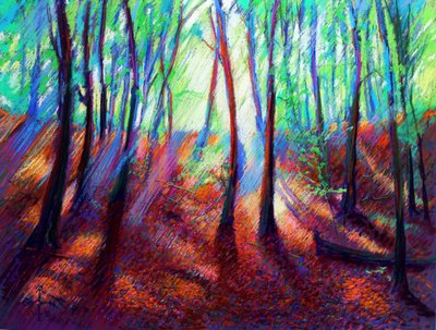 Vibrant Forest Light by Corné Akkers
