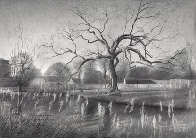 Winter Tree Reflections by Corné Akkers