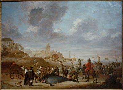 Whale on the Beach of Scheveningen by Cornelis Beelt