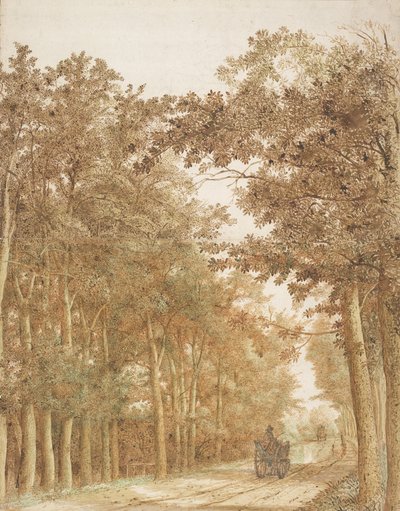 Trail through a Forest by Hendrick Cornelisz. Vroom