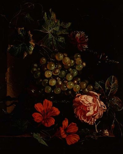 Grapes and Flowers with Beetle, Snail and Lizard by Cornelis de Heem
