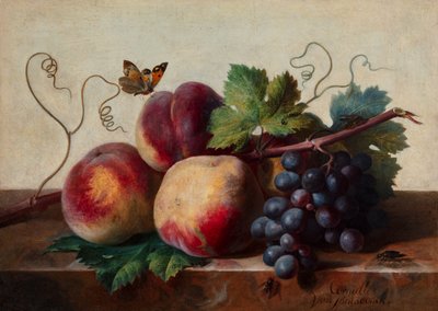 Still Life of Peaches and Grapes on a Marble Table with a Butterfly and Other Insects by Cornelis van Spaendonck