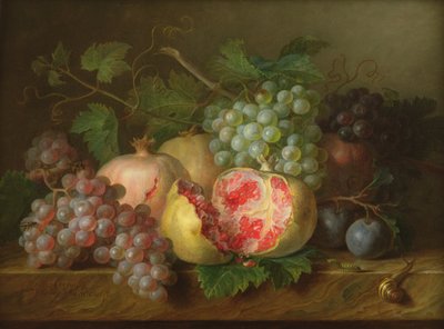 Still Life of Pomegranates, Grapes and Plums on a Marble Ledge by Cornelis van Spaendonck