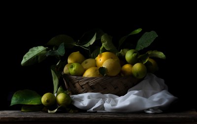 Rustic Lemon Basket by Corrado La Licata