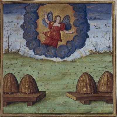 Illustration for the Georgics by Virgil by Coëtivy Master