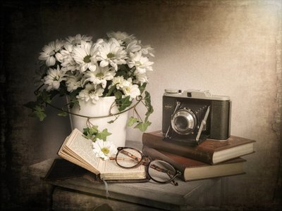 Vintage Still Life by Cristiano Giani