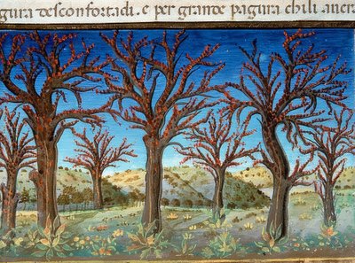 The End of the World: The Trees Will Be Covered with Blood by Cristoforo De Predis