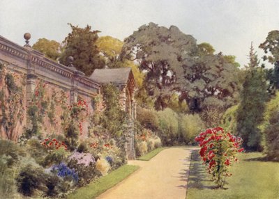 Crimson Ramblers at Osborne by Cyril Ward