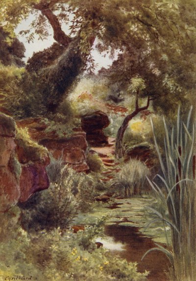 Part of the Rock Garden by the Upper Lake, Sandringham by Cyril Ward