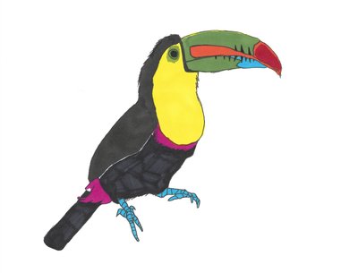 Toucan by Daisy de Villeneuve