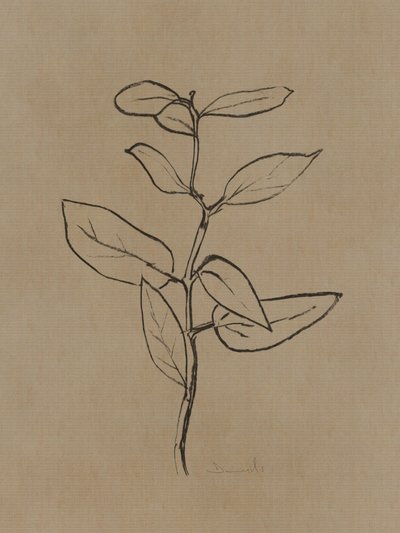 Eucalyptus Sapling by Dan Hobday