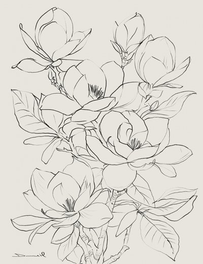 Magnolia Tree by Dan Hobday