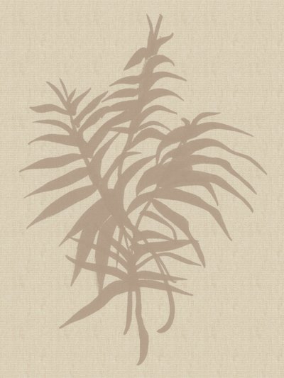 Plant Neutral by Dan Hobday