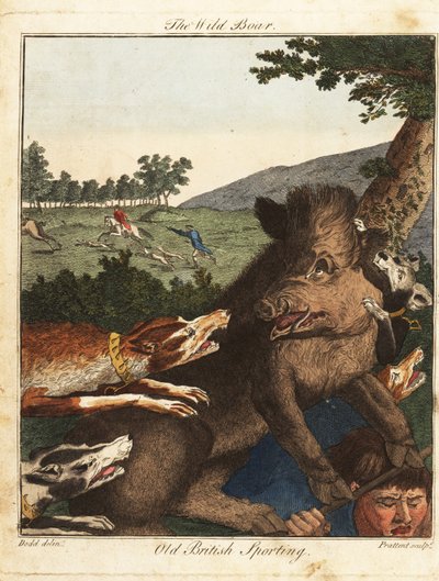 Hunters and Hounds Hunt a Wild Boar in England by Daniel (after) Dodd