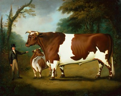 An Ox and its Owner, with a Heifer, in a Wooded Landscape by Daniel Clowes