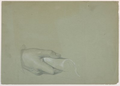 Study of a Man