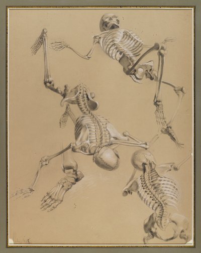 Study of skeletons, 1848 by Daniel Huntington