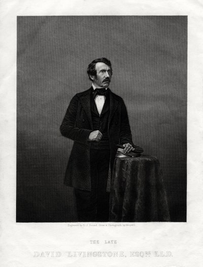 David Livingstone, Scottish Missionary and African Explorer, 1880 by Daniel John Pound