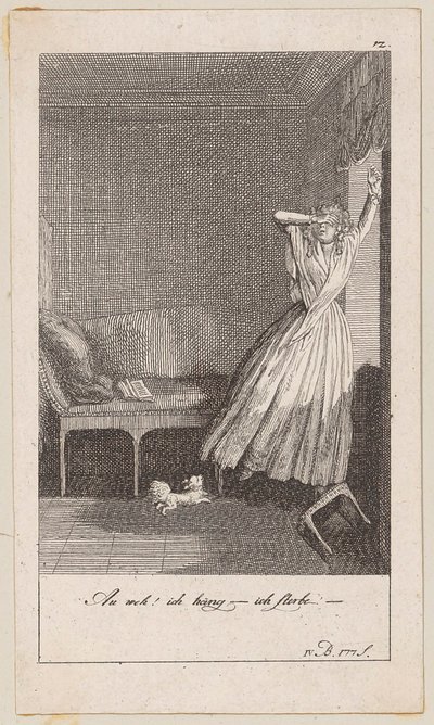 Plate 12 for Blumauer