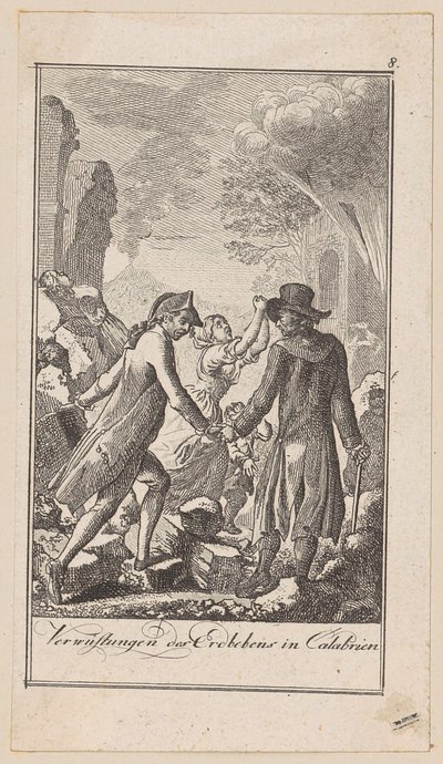 Plate 8 of 