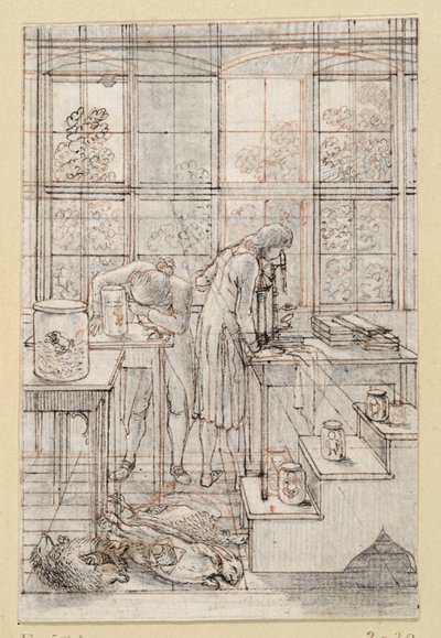 Drawing for the Title Copper of Blumenbach