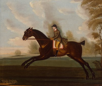 Sportsman, A Bay Hunter with Gentleman Up in a Wooded Landscape by Daniel Quigley