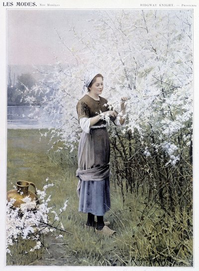 Spring: Woman Collecting Flowers - Illustration by R. Knight, circa 1905 by Daniel Ridgway Knight