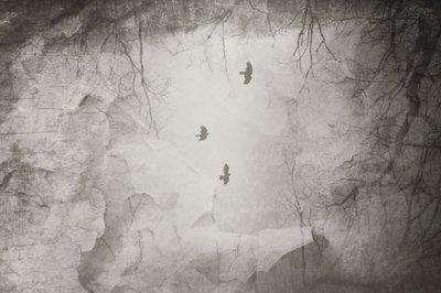 Ethereal Birds Winter Flight by Daniela Riegler