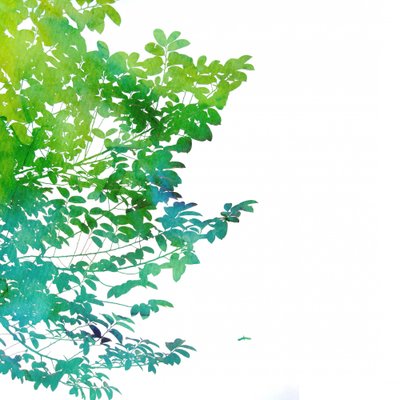 Abstract Watercolor Leaves by Danushka Abeygoda