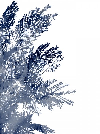 Blue Leaf Canopy by Danushka Abeygoda