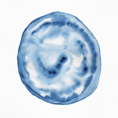Fluid Indigo Swirl by Danushka Abeygoda