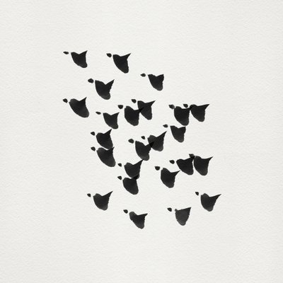 Minimalist Birds Flight by Danushka Abeygoda