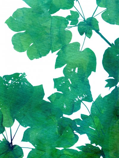 Vibrant Green Leaves by Danushka Abeygoda