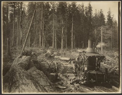 Logging/Timber Scene by Darius Kinsey