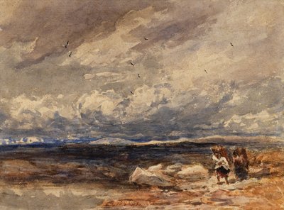 On Carrington Moss by David Cox