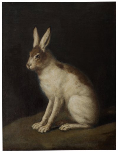 Hare by David Klöcker Ehrenstrahl
