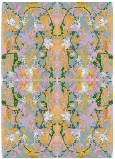 Botanical Collage #4 by David McConochie