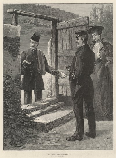 The Interrupted Honeymoon by Davidson Knowles