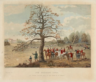Fox Breaking Cover at Upper Gatton Seat of the Duke of St. Alban