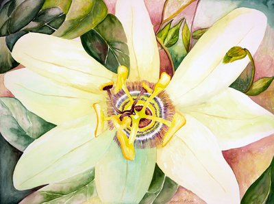 Passionflower, 2007 by Deborah Eve Alastra