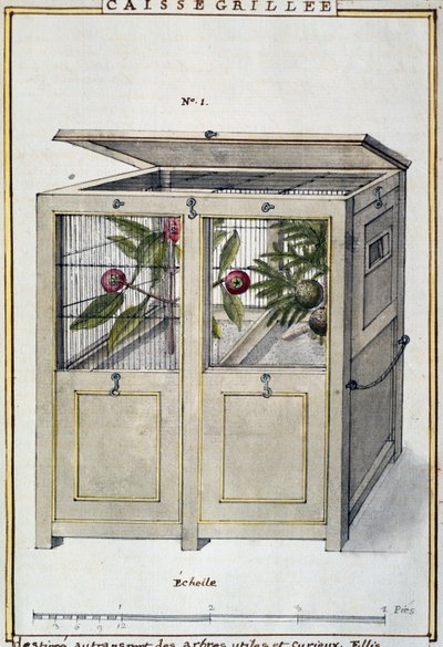 Container for transporting useful and interesting trees, watercolour by Delahaye, based on 
