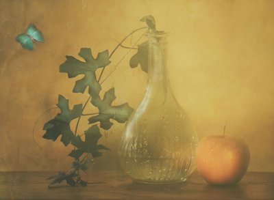 Blue Butterfly Still Life by Delphine Devos