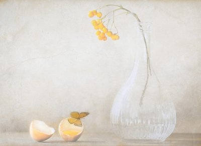 Butterfly Egg And Berries by Delphine Devos