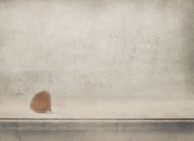 Calm Brown Stone by Delphine Devos