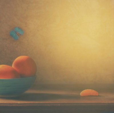 Citrus Bowl And Butterfly by Delphine Devos