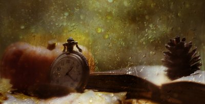 Cozy Autumn Watch by Delphine Devos