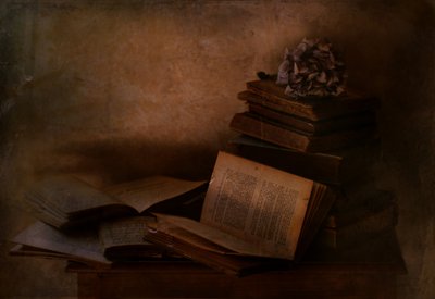 Dark Academia Books by Delphine Devos